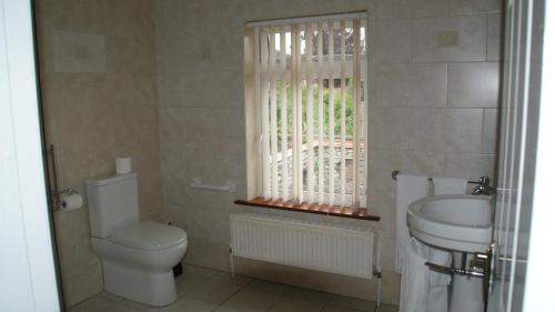a bathroom with a toilet and a sink and a window at Rockville House B&B in Cashel