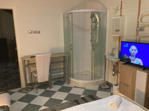 a bathroom with a shower and a tv in a room at Kenézy Szállás in Hajdúszoboszló
