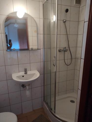 a bathroom with a shower and a sink at Noclegi u Daszyka in Polańczyk