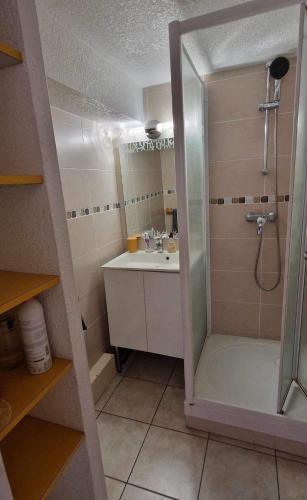 une salle de bain avec douche et lavabo dans l'établissement Appartement cap dagde, au Cap d'Agde