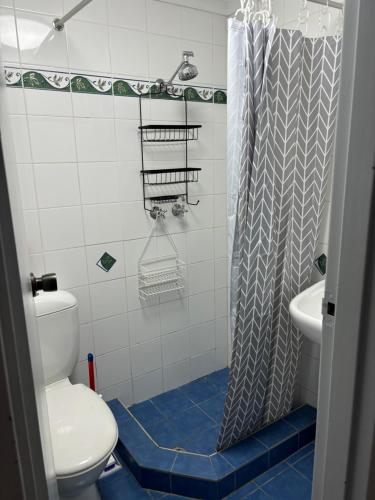 Un baño con inodoro y cortina de ducha. en Luke's Alpine Mountain View rooms, en Jindabyne