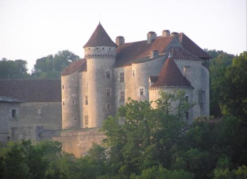 a large castle sitting on top of some trees at Le Petit Manoir Vaillac in Fonmourenne