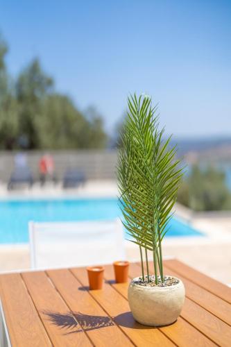 a potted plant sitting on a table next to a pool at Koumaries Villas in Lygia