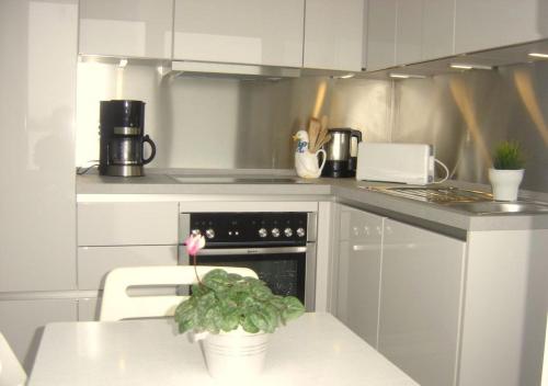 - une cuisine avec une table et une plante en pot dans l'établissement Haus am Schlei Noor, à Maasholm