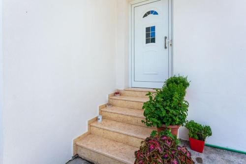a white door and stairs with potted plants at Zacharias apartments in Himare