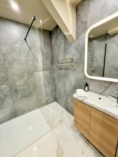 une salle de bain avec un lavabo et une douche dans l'établissement Maison Beauval - Saint-Aignan Centre - 5 minutes du Zoo de Beauval, à Saint-Aignan