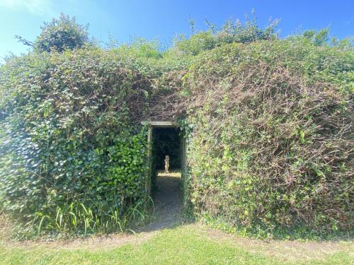 a hedge entrance to a tunnel in a field at Beachfield in Bembridge
