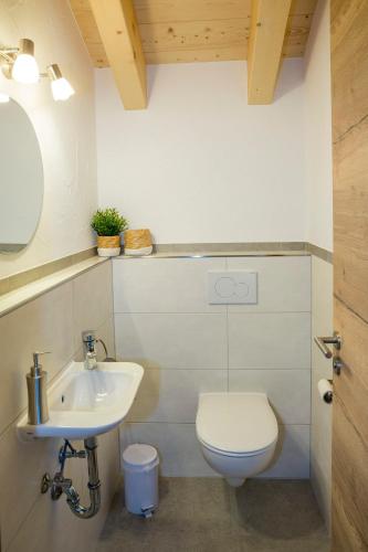 a bathroom with a toilet and a sink at Ferienwohnung Bergspitz in Grainau