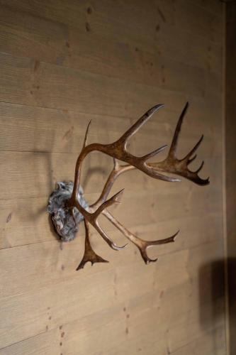 a piece of antlers on a wooden table at The Riverside Mountain Lodge - 110sqm clam luxury - including bed linens, towels, in Idre