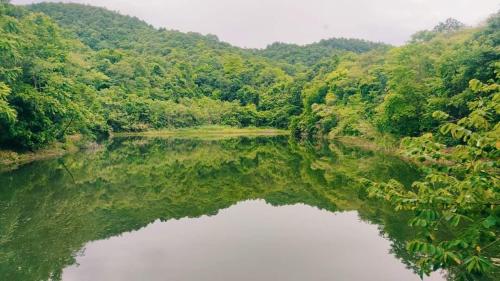 a river in the middle of a forest at Foresta Villa in Hang Dong