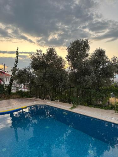 a blue swimming pool with a fence and trees at Oktapolis in Dalaman