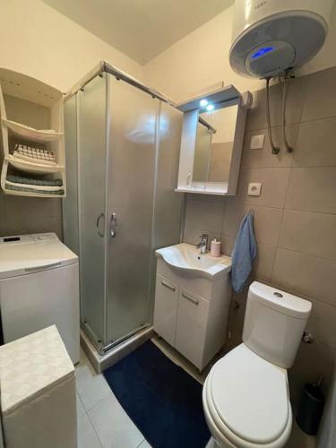 a bathroom with a shower and a toilet and a sink at Idylle in der Natur mit Burgblick in Sutomore