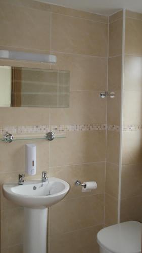 a bathroom with a sink and a toilet at Rockville House B&B in Cashel