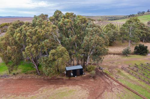 an overhead view of a small building in the middle of trees at Pedlar Creek Tiny House by Tiny Away in McLaren Vale