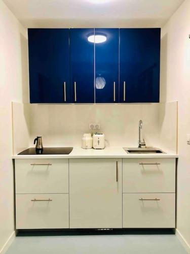 une cuisine avec des armoires bleues et un évier dans l'établissement STUDIO, 11, parc de Belleville, à Paris