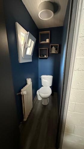 une salle de bain avec toilettes et un mur bleu dans l'établissement Le Boichot, à Dole