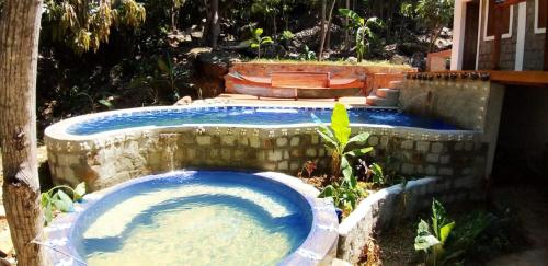a pool of water in a yard with a tree at Villa King Komba in Nosy Komba