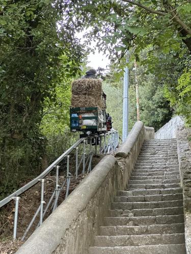 a truck transporting hay down a set of stairs at Casa Sangineto - Minori - Costa Amalfitana- A Paradise in the countryside in Minori