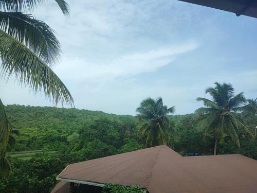 a view of a roof with palm trees in the background at The Verda De Miranda Resort Morjim North Goa in Morjim