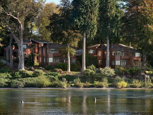 une rangée de maisons sur la rive d'une rivière dans l'établissement The Retreat, à Taupo