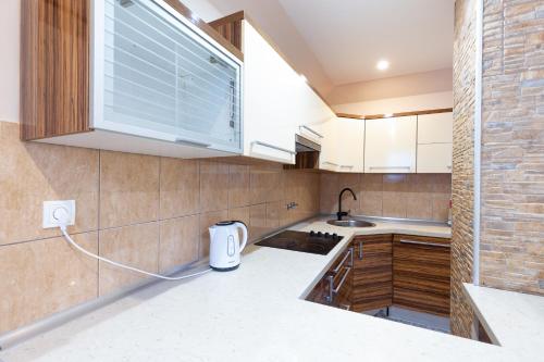 a kitchen with a sink and a counter top at Evergreen Apartments in Visoko