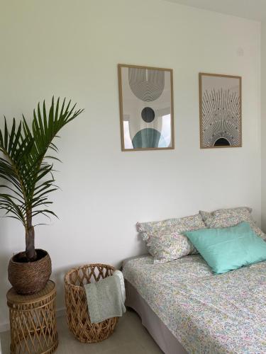 a living room with a couch and a potted plant at Hacienda R - kuca sa bazenom in Siokovac