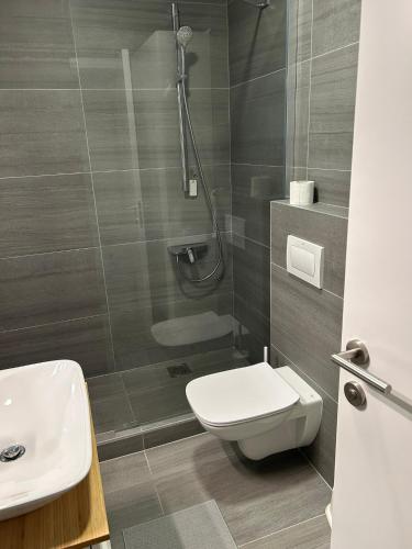 a bathroom with a shower and a toilet and a sink at Hacienda R - kuca sa bazenom in Siokovac
