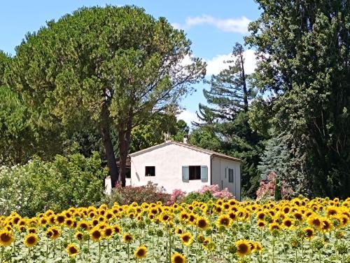 a house in the middle of a field of sunflowers at Beau studio dans mas provençal in Avignon