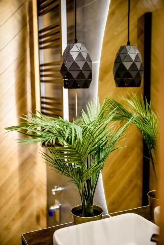 a bathroom with a potted plant and two pendant lights at Podtatrzańskie Apartamenty in Nowy Targ
