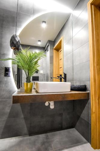 a bathroom with a sink and a potted plant at Podtatrzańskie Apartamenty in Nowy Targ