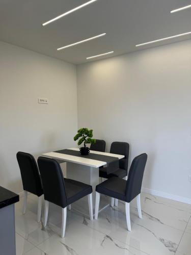 Fotografie z fotogalerie ubytování Apartmani Emanuel v destinaci Nin