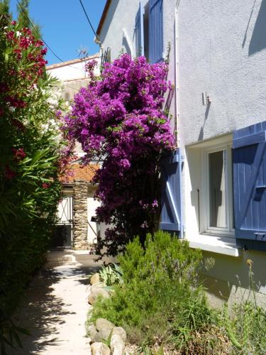 Photo de la galerie de l'établissement maison tout confort avec piscine avec billard, à Sorède