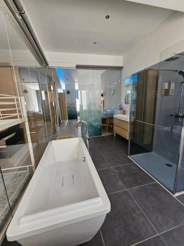 une grande salle de bain avec baignoire et douche dans l'établissement Le loft K- centre Colmar - jusqu'à 10 personnes, à Colmar