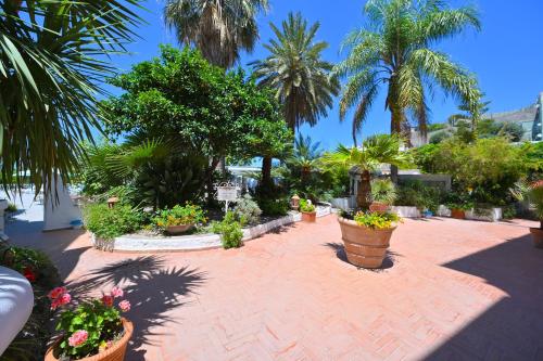 a brick walkway with potted plants and palm trees at Av Club Terme Colella in Ischia