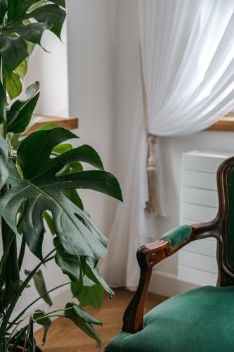 a green chair and a plant in a room at Vila Zlatý Slavík - Luxurious Villa with Spa in Jevany
