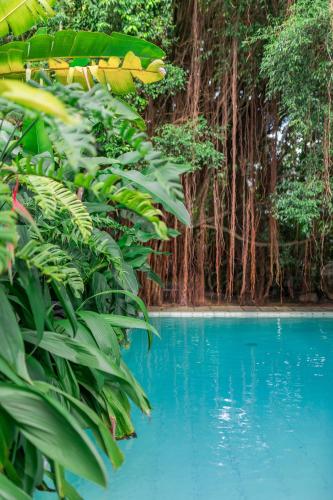 a pool in the middle of a forest with blue water at The Fern Cove Villa - Colombo in Battaramulla