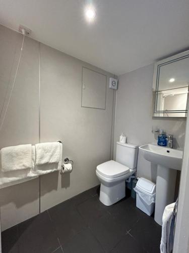 a bathroom with a white toilet and a sink at Chandlers BnB in Seahouses