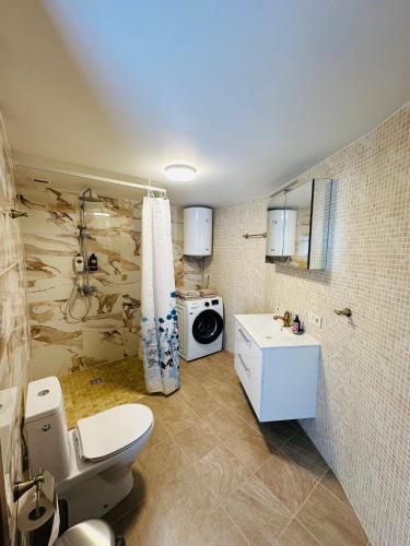 a bathroom with a toilet and a sink and a washing machine at Rožu namu apartamenti in Kuldīga