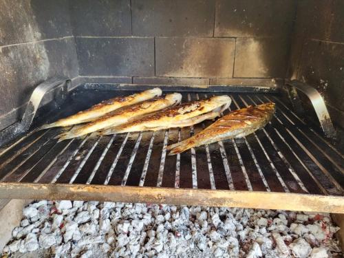 Olive and Herb Retreat