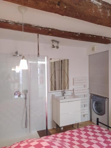 a bathroom with a sink and a shower at La maison du pêcheur in Bouzigues