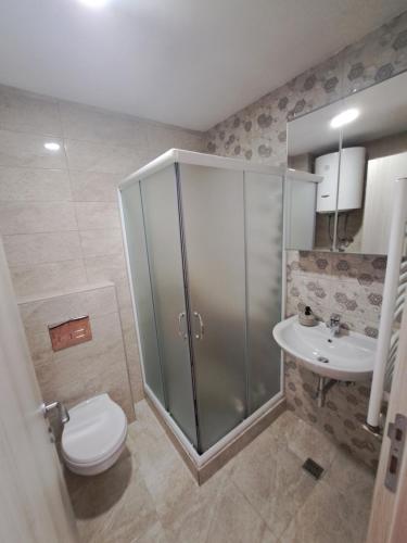 a bathroom with a shower and a toilet and a sink at Plavi Paun Apartman in Belgrade