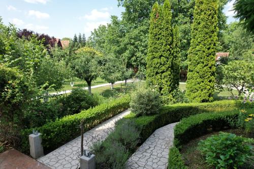 a garden with a path and bushes and trees at Casa Stefandra in Breaza