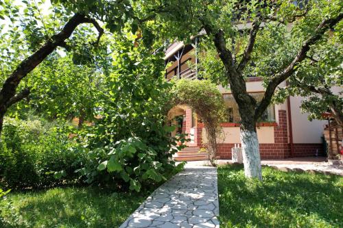a tree in front of a building with a walkway at Casa Stefandra in Breaza