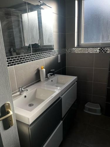 une salle de bain avec un lavabo et un miroir dans l'établissement La Casa d'Alicia - Maison avec vue, à Monthermé