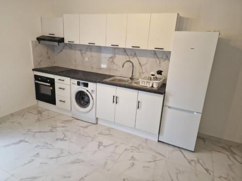 une cuisine avec un évier et une machine à laver dans l'établissement Maison familiale, à Pierrefitte-sur-Seine