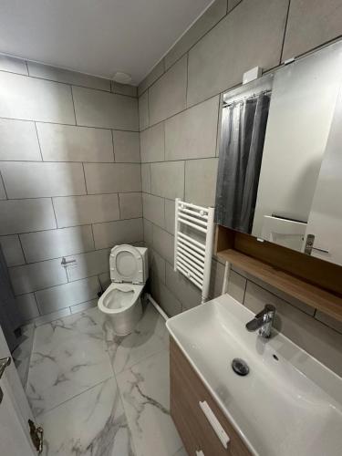 une salle de bain avec un lavabo, des toilettes et un miroir dans l'établissement Maison familiale, à Pierrefitte-sur-Seine