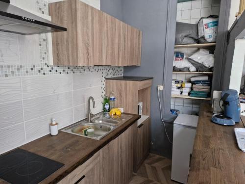 Il comprend une petite cuisine avec un lavabo et des toilettes. dans l'établissement Grand Studio Centre de Cambrai, à Cambrai