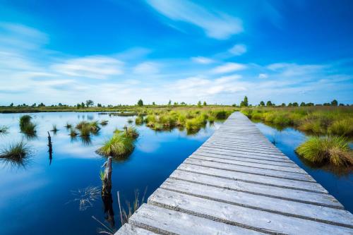 a wooden boardwalk over a marshy lake at Ferienwohnung Eifel-Life in Simmerath