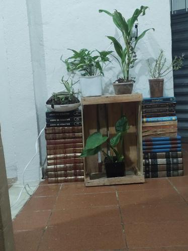 a stack of books with potted plants on top of them at Refugio dos viajantes in Piraí