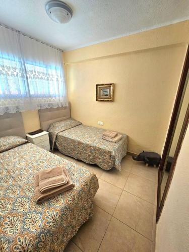 Super terrace Levante front line Apartment Los Ranchos self check-in, free parking